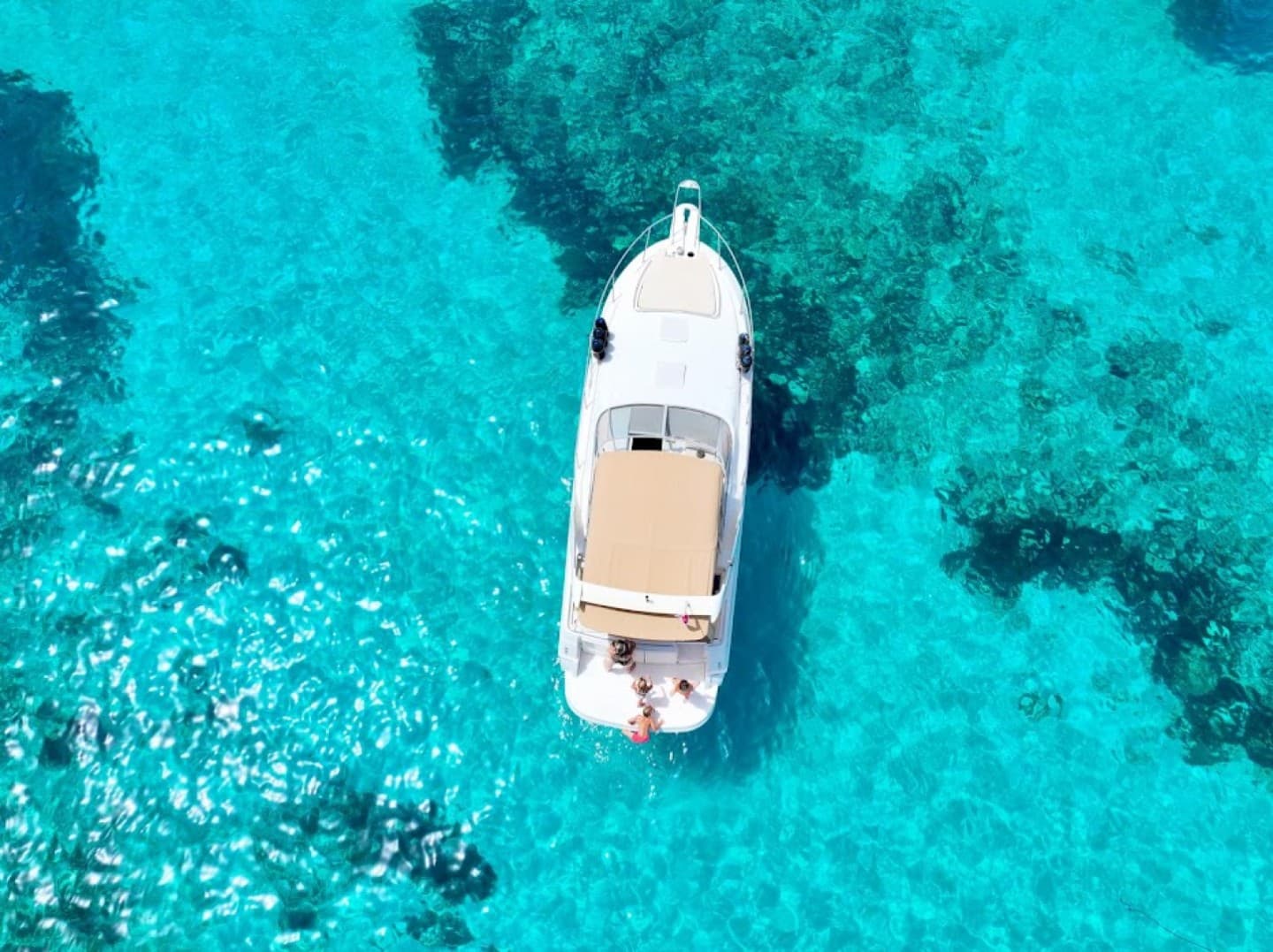 Comfort, Style & Adventure | Full | 1/2 Day | Sunset Charters