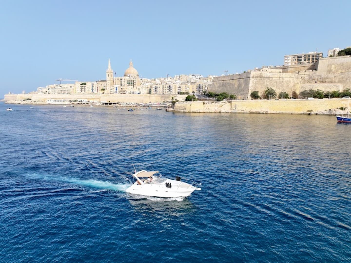 Comfort, Style & Adventure | Full | 1/2 Day | Sunset Charters photo 9